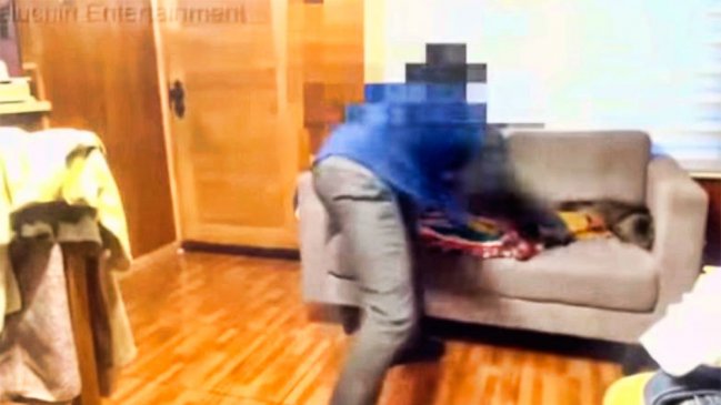 Youtuber adolescente fue formalizado por maltrato que provocó la muerte de un gato