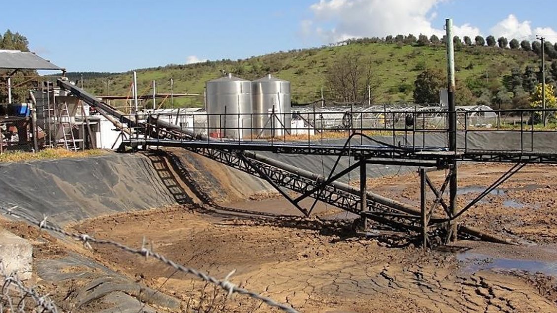 Planta de aceite recibió multa mediambiental de 1.111 millones de pesos