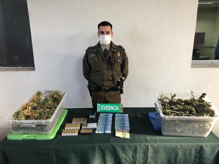 Carabineros decomisó 35 kilos de marihuana en Colbún