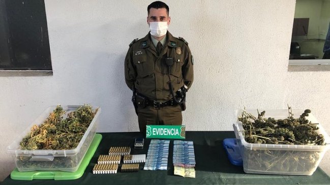 Carabineros decomisó 35 kilos de marihuana en Colbún