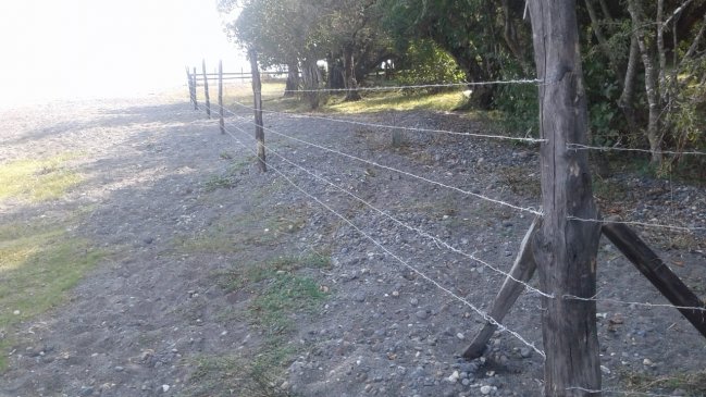 Denuncian, otra vez, instalación de cerco que divide en dos playa del Lago Ranco