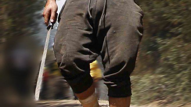 Fiscalía pide cadena perpetua para imputado por doble homicidio con machete