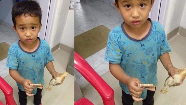 Viralizan historia de niño que atropelló a una gallina por accidente