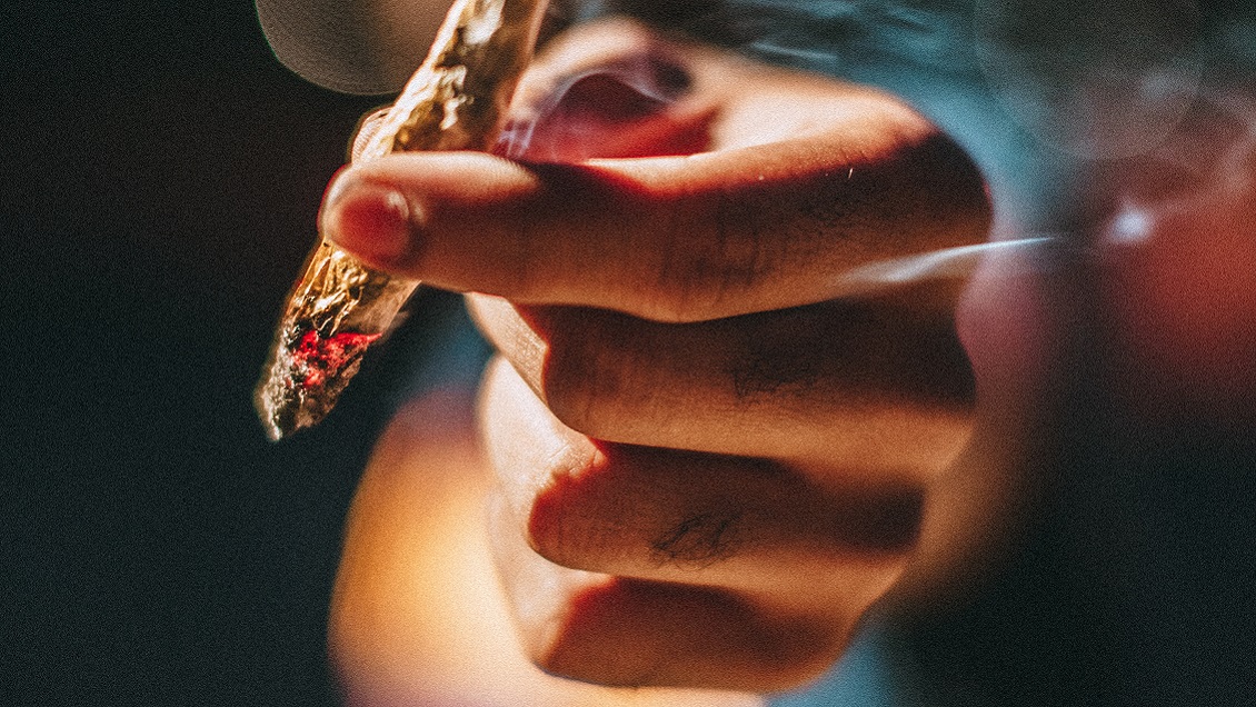 Estudio español confirmó presencia de heces en la marihuana que se vende en la calle