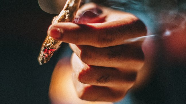 Estudio español confirmó presencia de heces en la marihuana que se vende en la calle