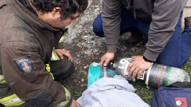 Bomberos rescatan a perrito desde un incendio en Temuco