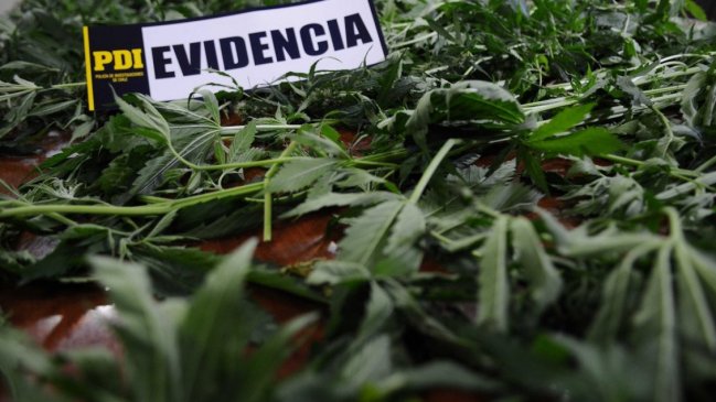 Detienen a mujer acusada de microtráfico de drogas en San Vicente