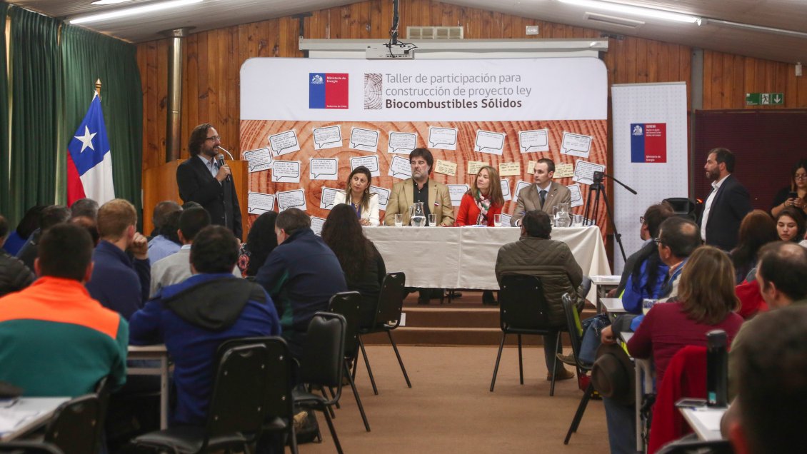 Leñeros de Aysén presentaron reparos a ley de biocombustibles sólidos