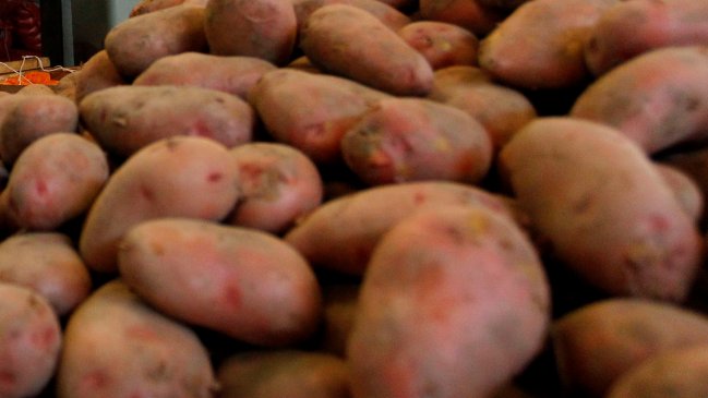 Dan de baja a cabo primero de Carabineros tras ser acusado de robar dos sacos de papas