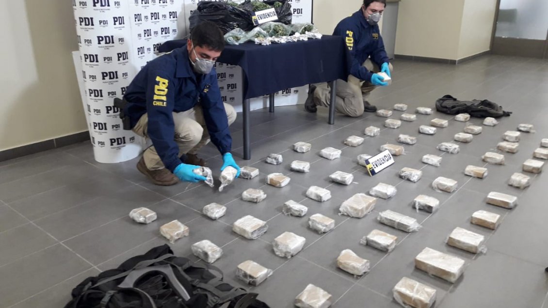 PDI incautó 22 kilos de marihuana en zona fronteriza de La Araucanía