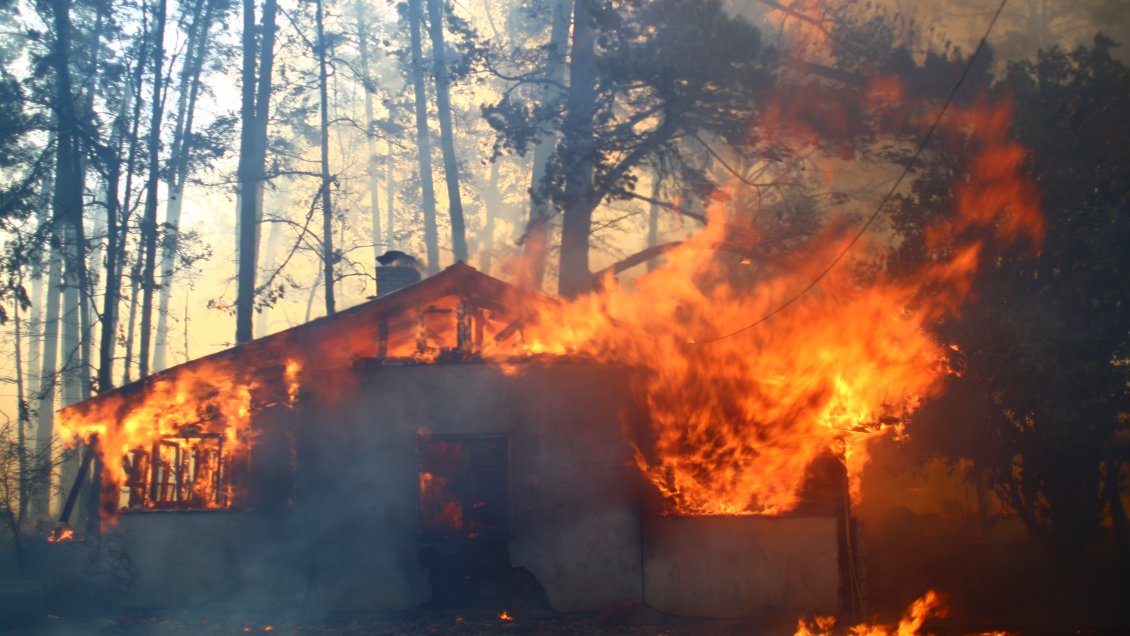 Comunero mapuche fue declarado culpable de provocar incendio forestal en Ercilla