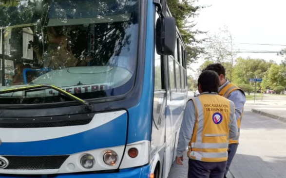 Por conducir ebrio, detienen a conductor de microbús en Chillán Viejo