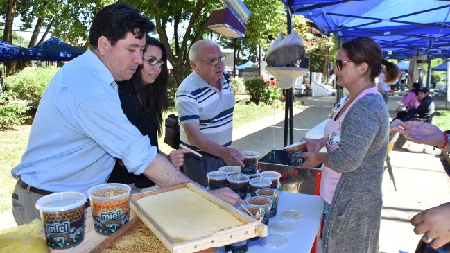 Chiguayante será sede del Segundo Simposio Internacional de Apicultura Orgánica
