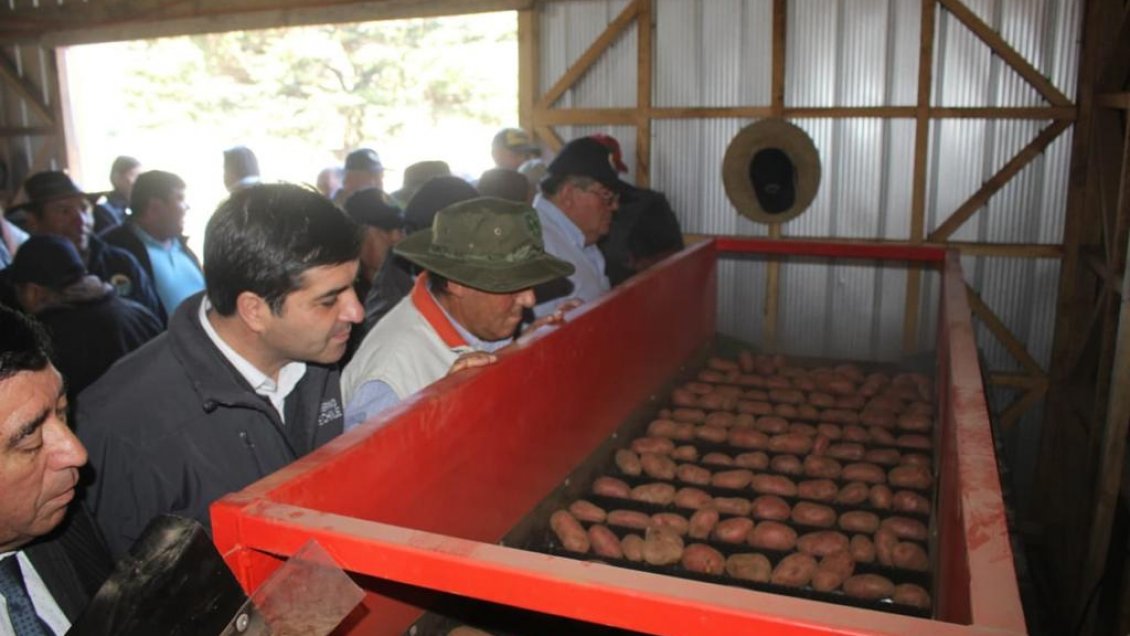 Cooperativa mapuche inaugura local para potenciar comercialización de papas en Cañete