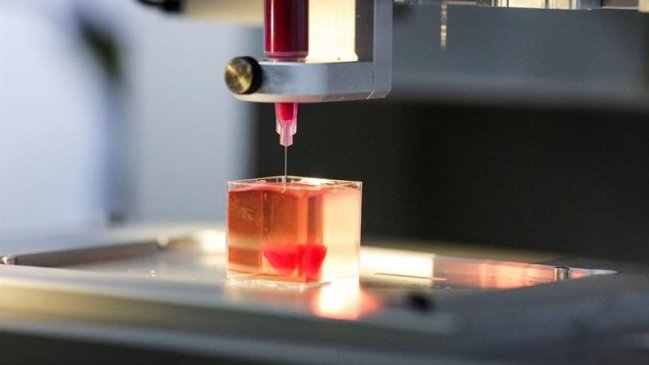 Investigadores crearon un corazón que late en una impresora 3D