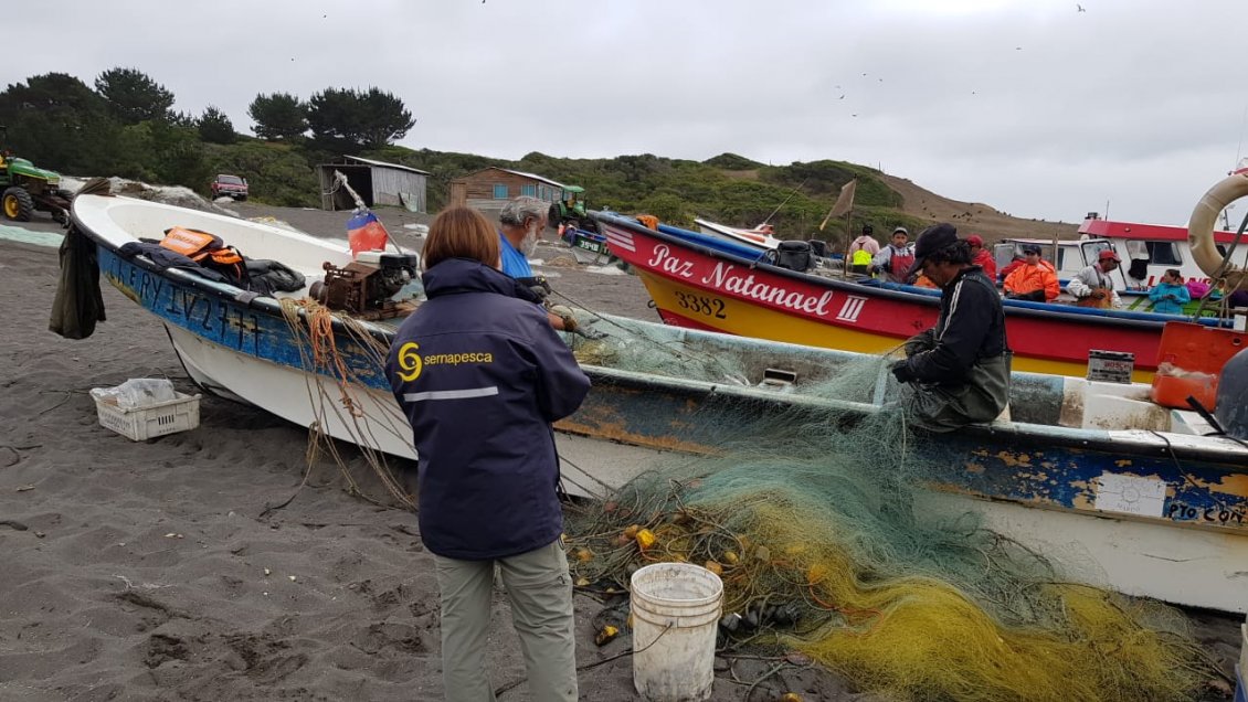 Maule: Sernapesca promete 