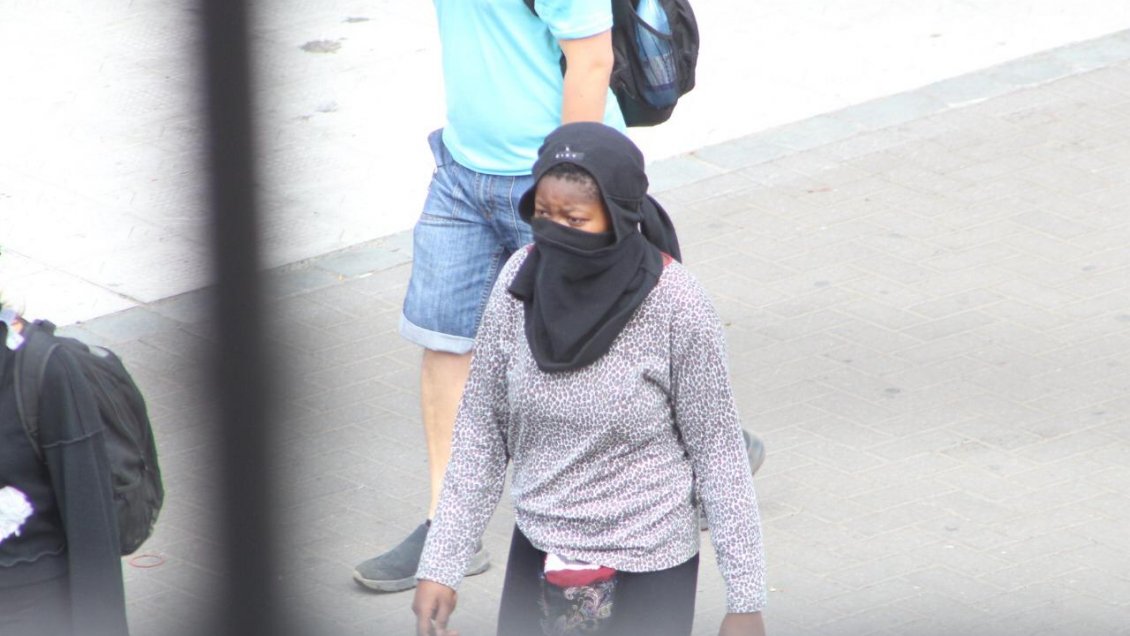 Dos extranjeras serán expulsadas de Chile tras ir encapuchadas a marcha mapuche