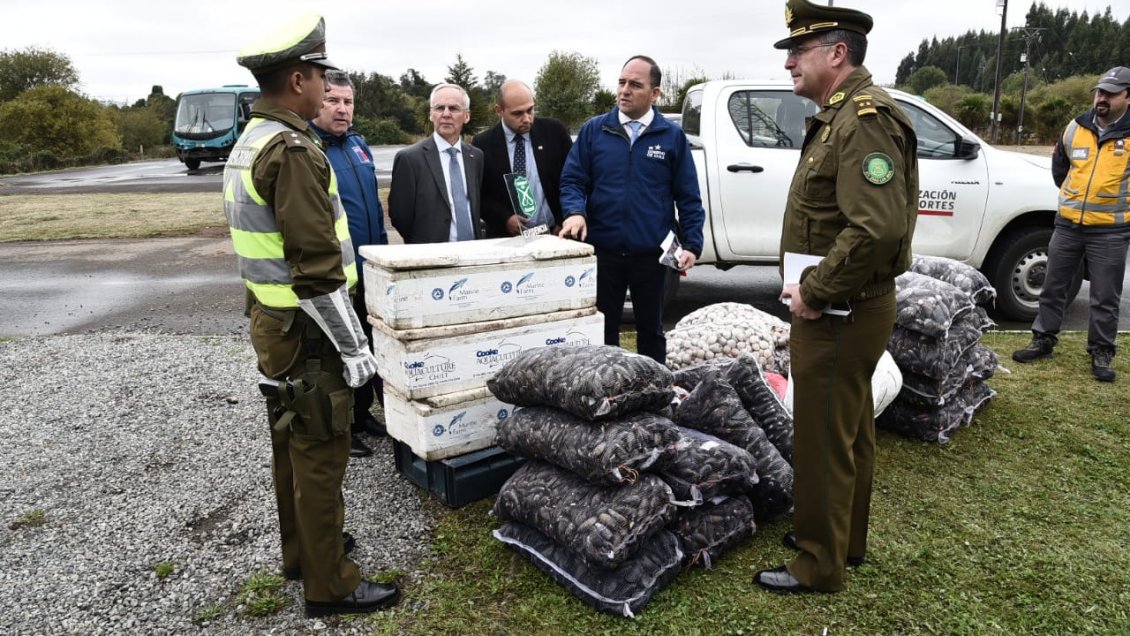 Los Ríos: Carabineros decomisó media tonelada de pescados y mariscos en control carretero