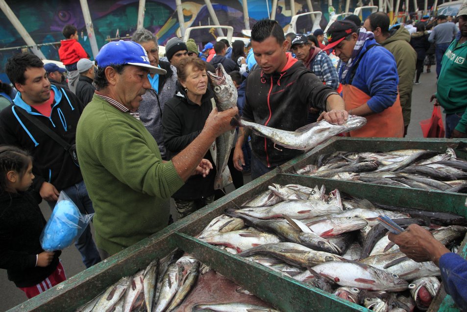 Fotos] Cientos de personas llegan a la Caleta Portales para comprar el  pescado y los mariscos perfectos 