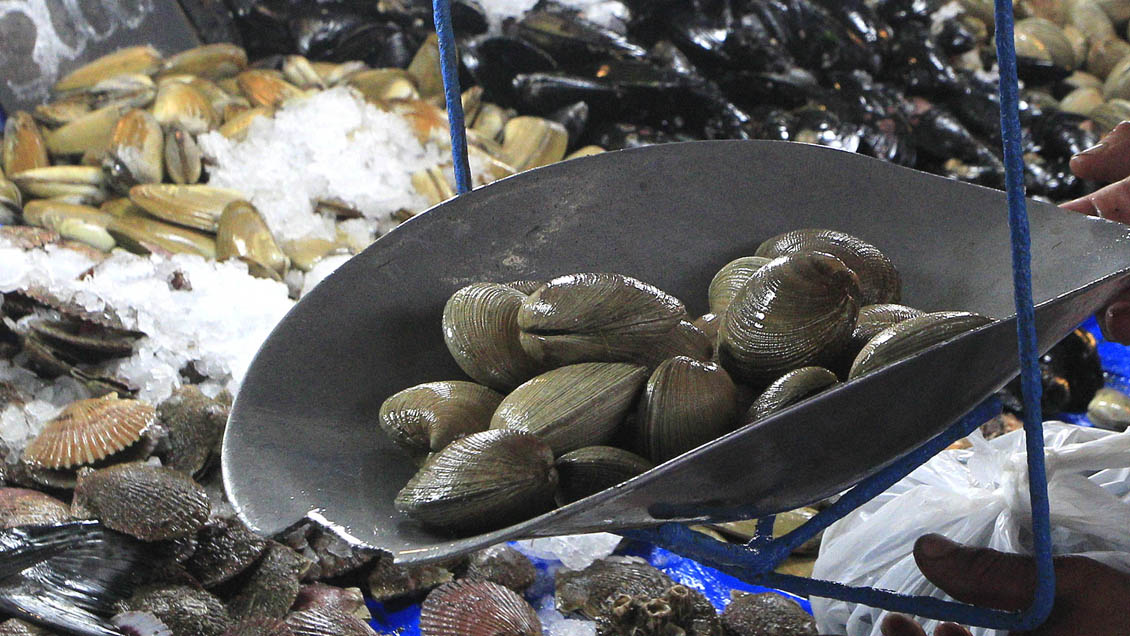 Cómo identificar productos marinos en mal estado para prevenir intoxicaciones