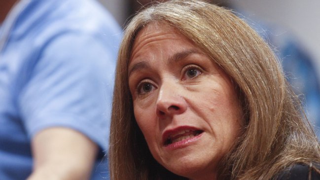 Gestión de ministra ante crisis de los medidores divide a la UDI