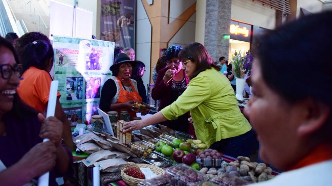 Putre destacará su identidad andina en feria regional 