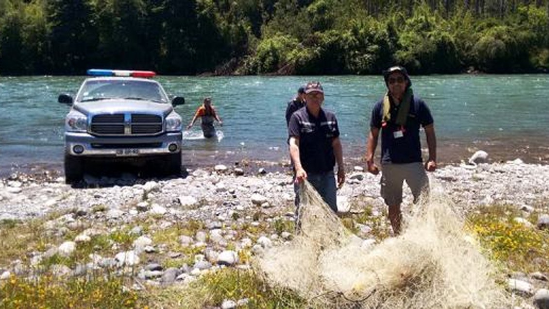 Aumento de la pesca furtiva en ríos de La Araucanía preocupa al sector turismo