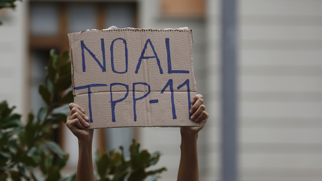 Tribunal declaró inadmisibles 174 recursos de protección contra el TPP11