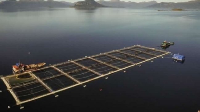 Corte de Punta Arenas detiene comienzo de faena de salmonera en el Canal Beagle