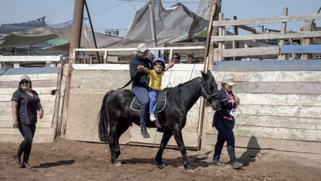 Colegio de Alto Hospicio incluye hipoterapia para estudiantes con necesidades especiales