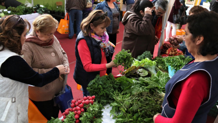  Punta Arenas: Exitosa Feria de Frutas, Verduras y Plantas Locales  