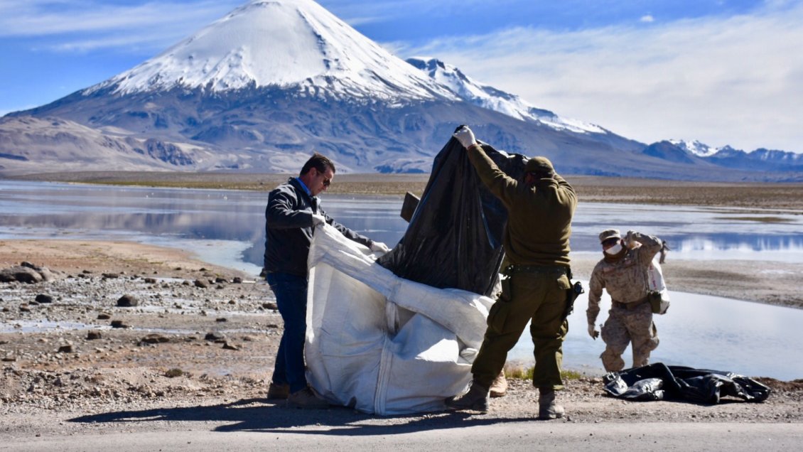 Arica y Parinacota: Retiran ocho toneladas de basura en limpieza del Lago Chungará