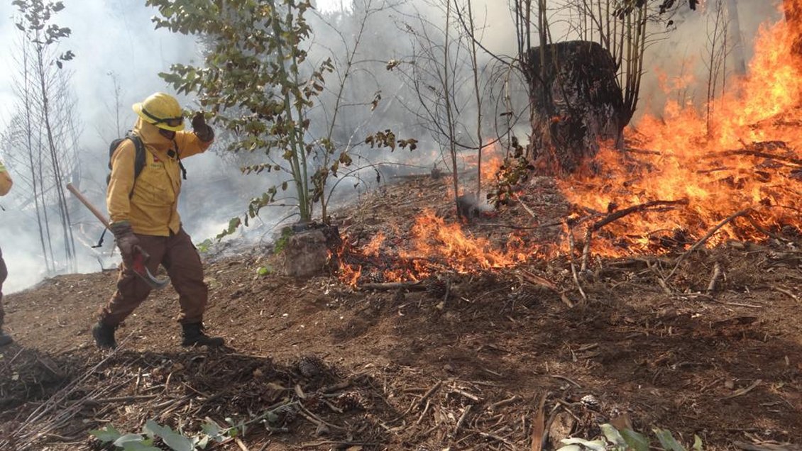 Bomberos y Conaf trabajan en dos incendios forestales que afectan a Casablanca
