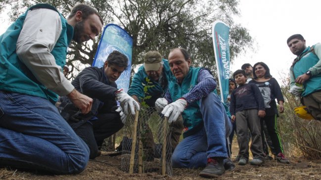 Este sábado comenzó la 
