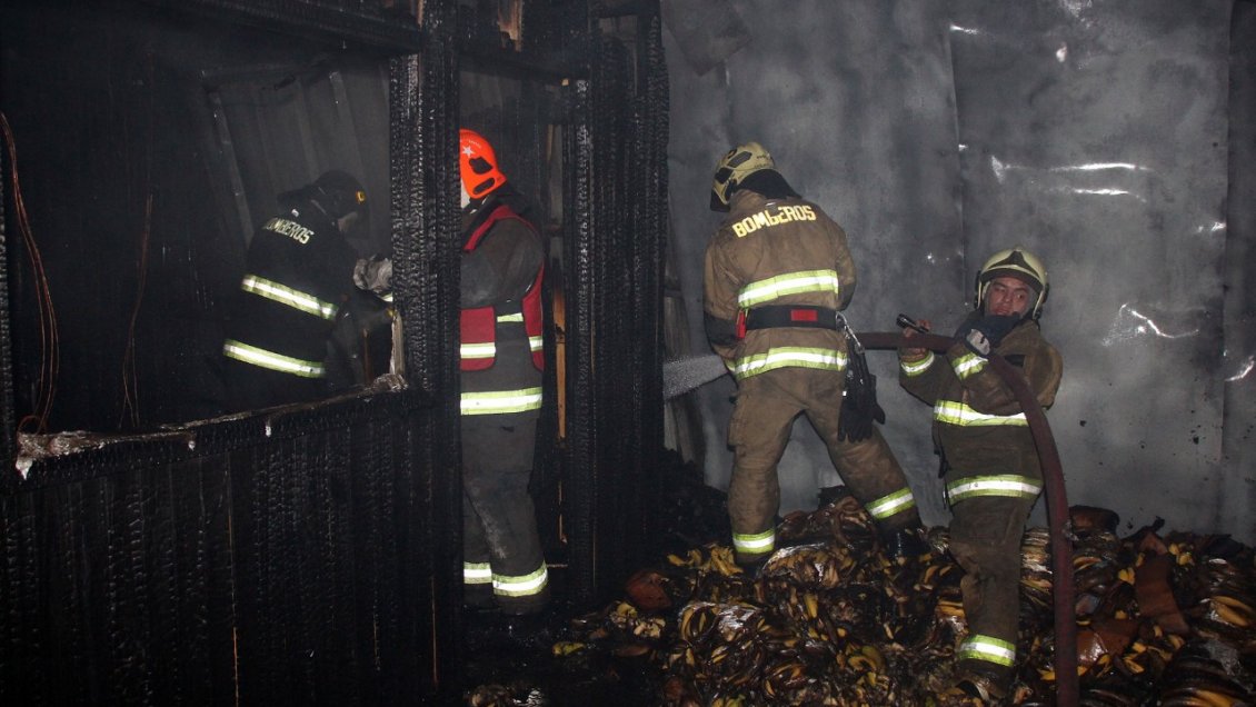 Incendio destruyó 22 locales comerciales en la Vega Modelo de Temuco