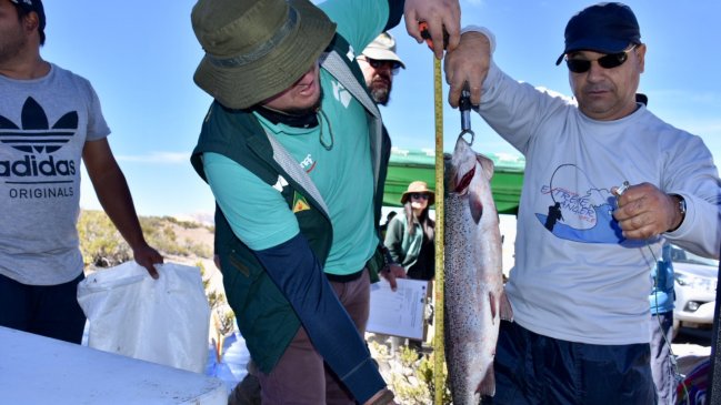 Arica y Parinacota: En Lago Chungará capturan trucha de siete kilos