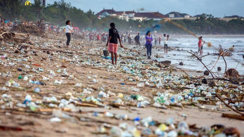 Un millón de especies están en riesgo de extinción