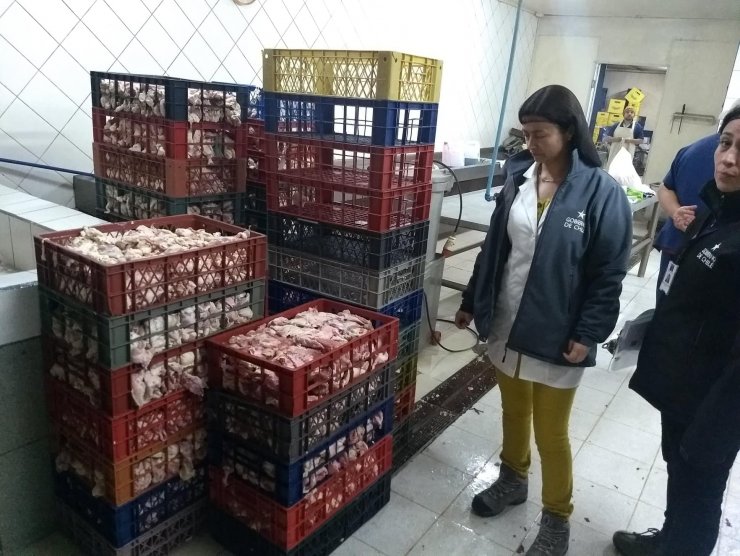 Decomisan 1.640 kilos de carne en mal estado desde fábrica de cecinas en Chillán