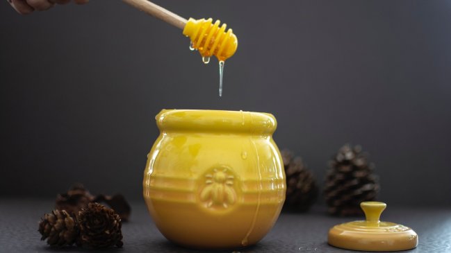 Así se produjo, en el Biobío, el sorpresivo hallazgo de miel única en el mundo