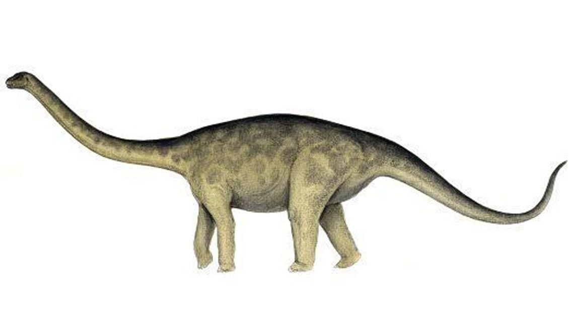 Descubren que dinosaurio de 40 toneladas caminaba como si usara tacones