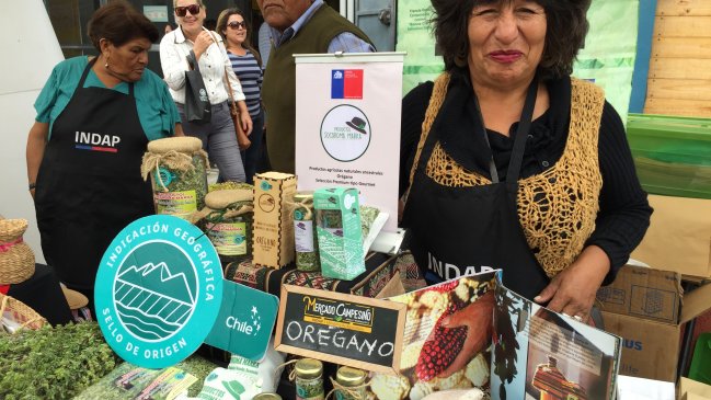 Arica y Parinacota: Capacitación gratuita para empresarias beneficiará a 50 mujeres