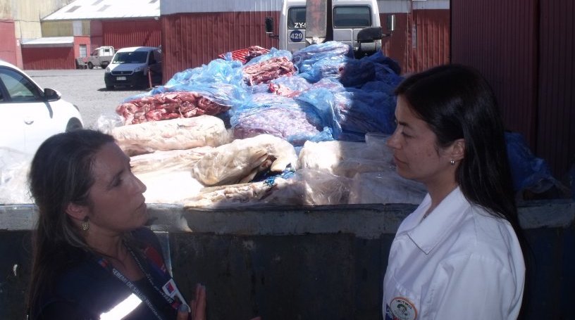 Decomisaron 500 kilos de carne en mal estado en control carretero
