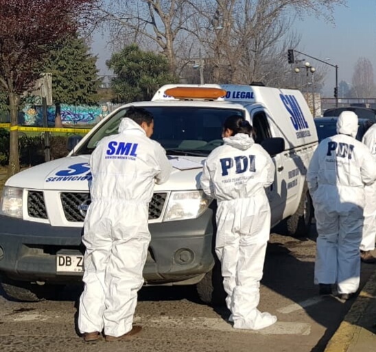 Se investiga identidad de un cráneo humano encontrado en localidad rural de Osorno