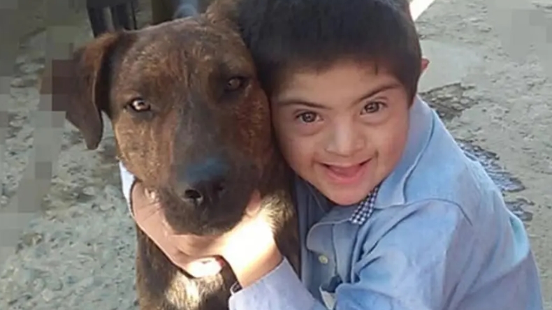 Envenenaron a perro que acompañaba a niño con Down en Argentina