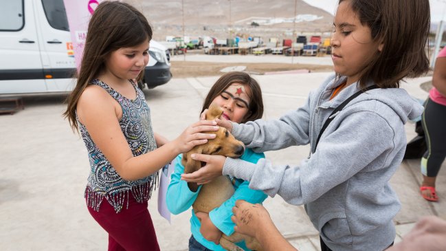 Arica: Pobladores de Cerro Chuño fueron beneficiados por operativo de salud