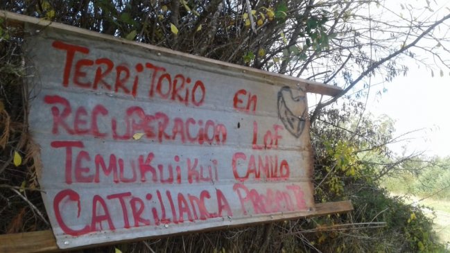 Comunidad mapuche anunció recuperación definitiva de fundo perteneciente a Forestal Mininco
