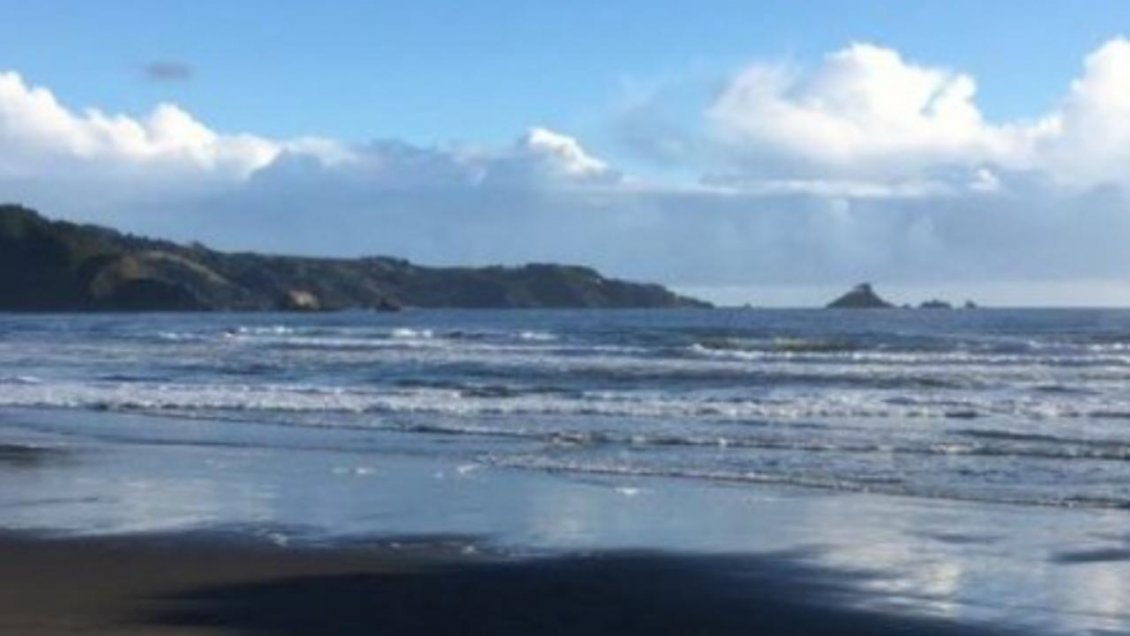 Congreso Ciencias del Mar se desarrollará este año en Iquique