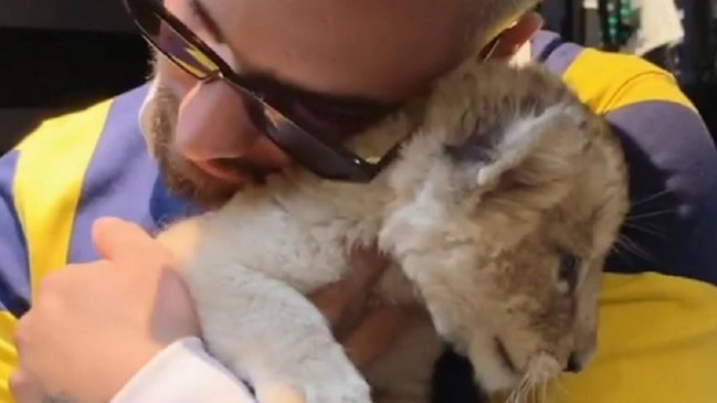 Maluma cerró su cuenta de Instagram tras subir video con cachorro de león