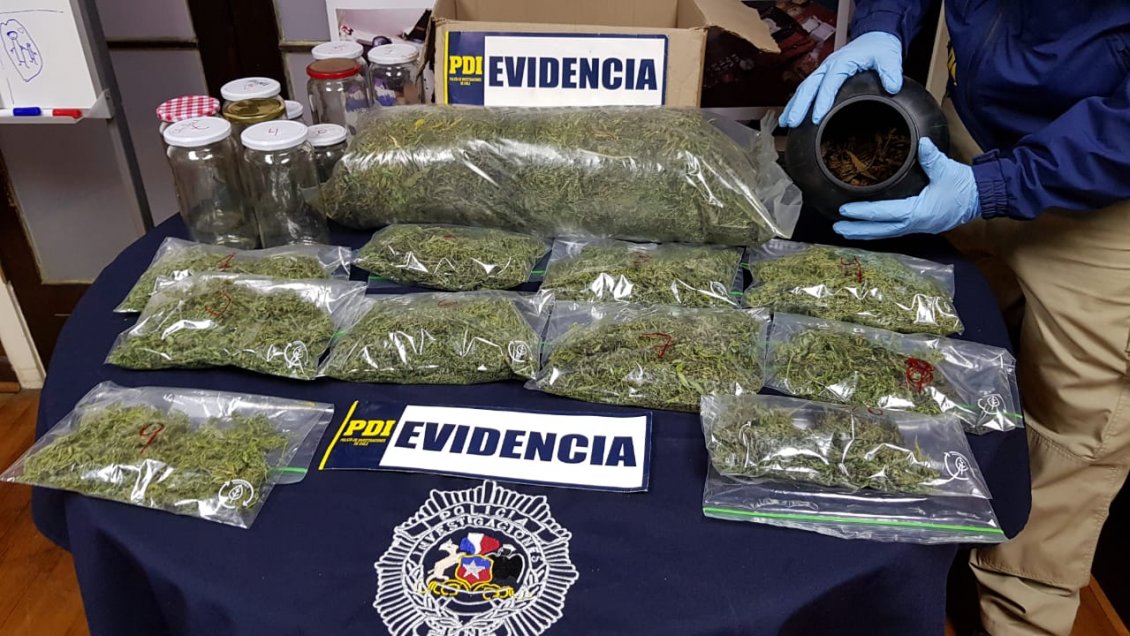 Decomisan tres mil dosis de marihuana en Melipeuco