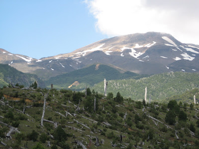 Encuentran con vida a turistas extraviados en el Parque Nacional Villarrica